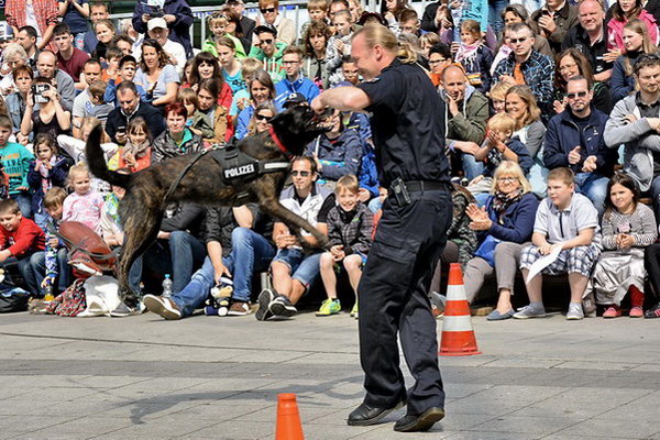 Polizeishow   037.jpg